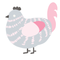 A mist and rose chicken with a bar pattern