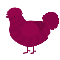 A maroon chicken with a bar pattern