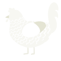 A white chicken with a lace pattern
