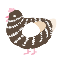 A bark and cream chicken with a bar pattern