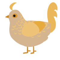 A beige and honey chicken with a half-lace pattern