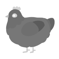 A indigo and grey chicken with a head pattern