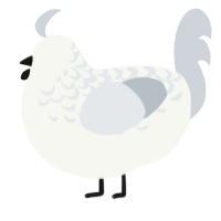 A white and mist chicken with a half-lace pattern