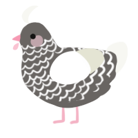 A grey and white chicken with a lace pattern