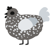 A grey and mist chicken with a speckle pattern