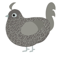 A grey and ash chicken with a double-lace pattern