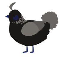 A sable and grey chicken with a neck-speckle pattern