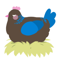 A bark and sapphire chicken with a neck-band pattern