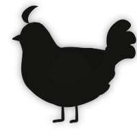 A black chicken