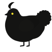 A black chicken