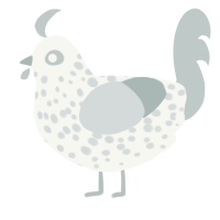 A white and silver chicken with a speckle pattern