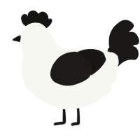 A white and sable chicken