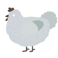 A mist and silver chicken with a speckle pattern