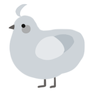 Willow, a mist chicken