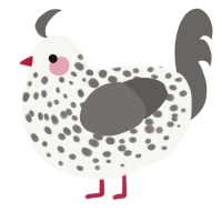A white and grey chicken with a speckle pattern