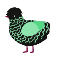 Gomint, a black and spring chicken with a lace pattern