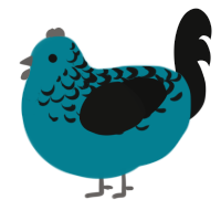 A sea and black chicken with a half-lace pattern