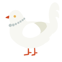 A white and pink chicken