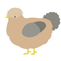 A beige and ash chicken
