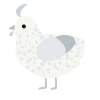 A white and mist chicken with a speckle pattern