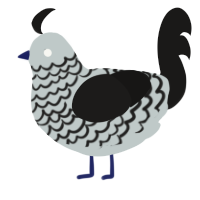 A silver and sable chicken with a lace pattern