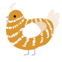 A orange and cream chicken with a bar pattern