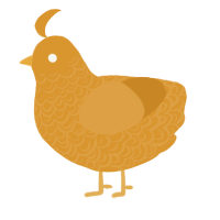 A orange chicken with a double-lace pattern