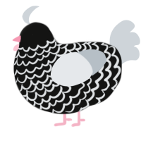 A black and mist chicken with a lace pattern
