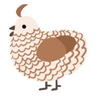 A cream and brown chicken with a lace pattern