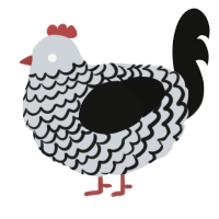 A mist and black chicken with a lace pattern