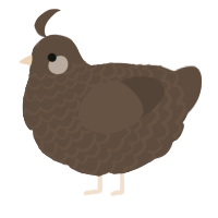 A bark chicken with a lace pattern