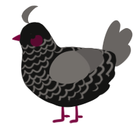A black and grey chicken with a lace pattern
