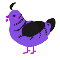 A blurple and sable chicken with a half-bar pattern