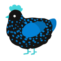 A black and sapphire chicken with a speckle pattern
