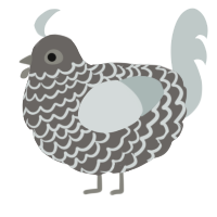 A grey and silver chicken with a lace pattern