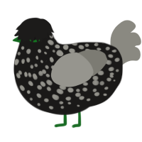 Soda Bubble, a sable and ash chicken with a speckle pattern