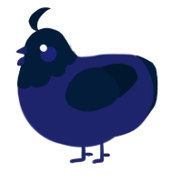 A navy and tumblr chicken with a head pattern
