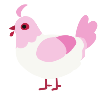 A white and pink chicken with a head pattern