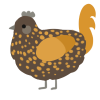 A bark and orange chicken with a speckle pattern