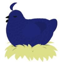 A navy chicken with a lace pattern