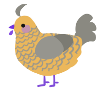 A honey and ash chicken with a lace pattern