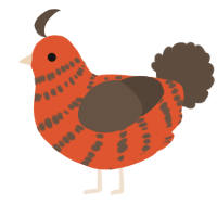 A vermilion and bark chicken with a bar pattern