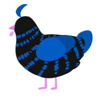 A black and ultramarine chicken with a bar pattern