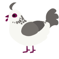 A white and grey chicken with a neck-speckle pattern