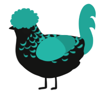 A black and turquoise chicken with a half-lace pattern