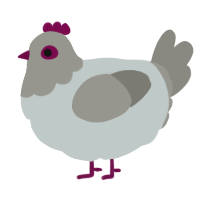 A silver and ash chicken with a head pattern