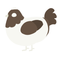 A white and bark chicken with a head pattern
