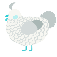 A white and silver chicken with a lace pattern