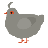 A ash chicken