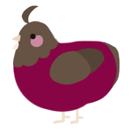 A maroon and bark chicken with a head pattern
